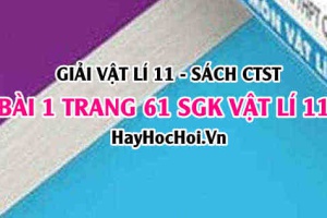 Giải bài 1 trang 61 Vật lý 11 SGK Chân trời sáng tạo